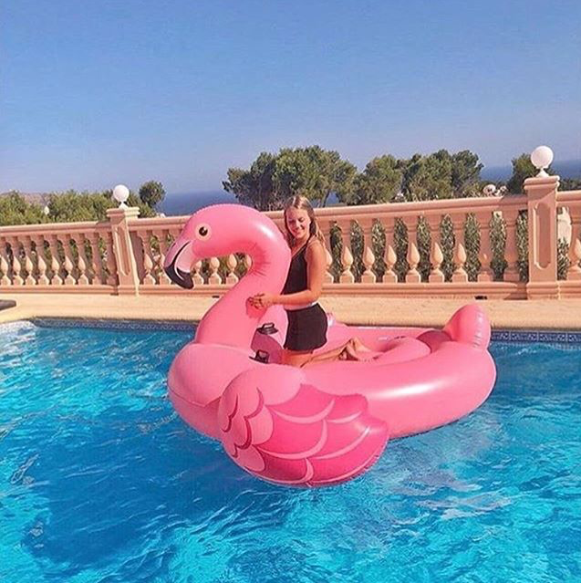 Intex Sisme Flamingo Binici Tutmacli Ada 218x211x136cm