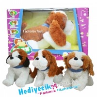 köpek Max Türkçe konuşan köpek