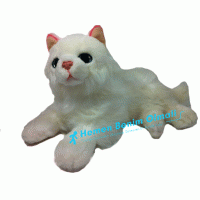 Oyuncak Beyaz Kedi Uzun Tüğlü Kedi