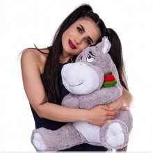 Halley 60 Cm Boyutunda Gül Tutan Üzgün Eşşek Peluş Oyuncak