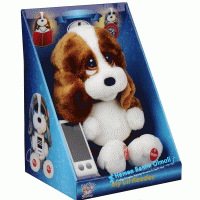 Oyuncak Sad Sam  Honey My Little Reader 