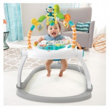 Fisher Price Renk Karnavalı Katlanabilir Jumperoo FDG98