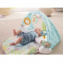 Fisher Price Kelebekli Rüyalar Müzikli Jimnastik Merkezi DYW46