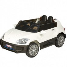 65165 Modern Tasarım Akülü ve  Hareketli Siyah Akülü Araba