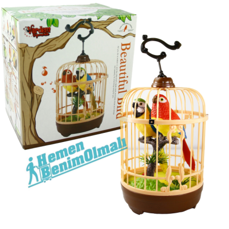  Oyuncak Kuş Kafesli İkili Kuş Müzik Ve Kuş Sesi