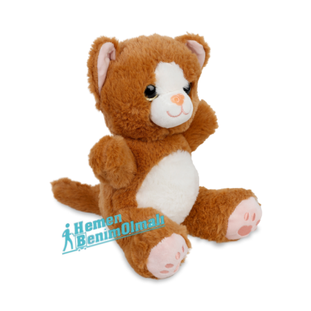 Peluş Oyuncak Kedi 23 cm 