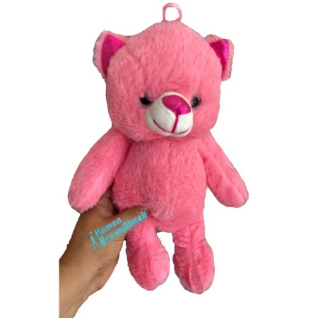 Peluş Ayı 25 cm