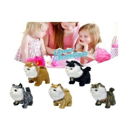 Oyuncak Yürüyen Kediler Farklı Renklerde Oyuncak Sesli Kedi