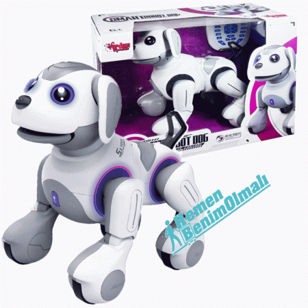 Akıllı Robot Smart İnteraktif Akıllı Robot Köpek G14