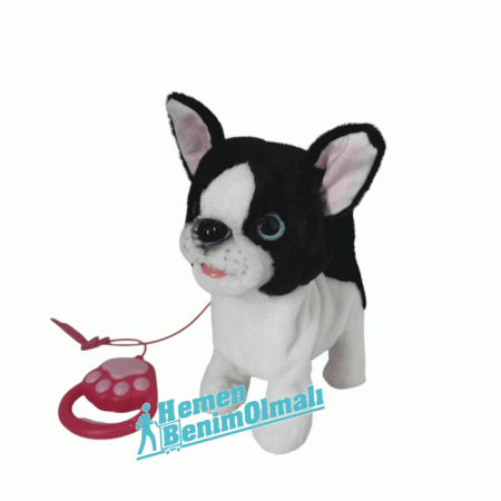 Peluş Tasmalı Yürüyen-Havlayan Fransız Bulldog Köpek