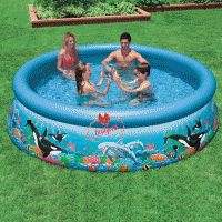 İntex  Şişirile Bilir Üst Halkalı  Yunus Balıklı Havuz 305x76Cm