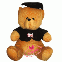 PELUŞ ÖĞRENCİ PELÜŞ AYI