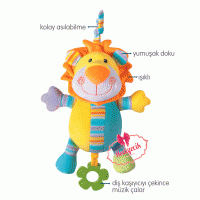 Ormandaki müzisyen arkadaşım aslan